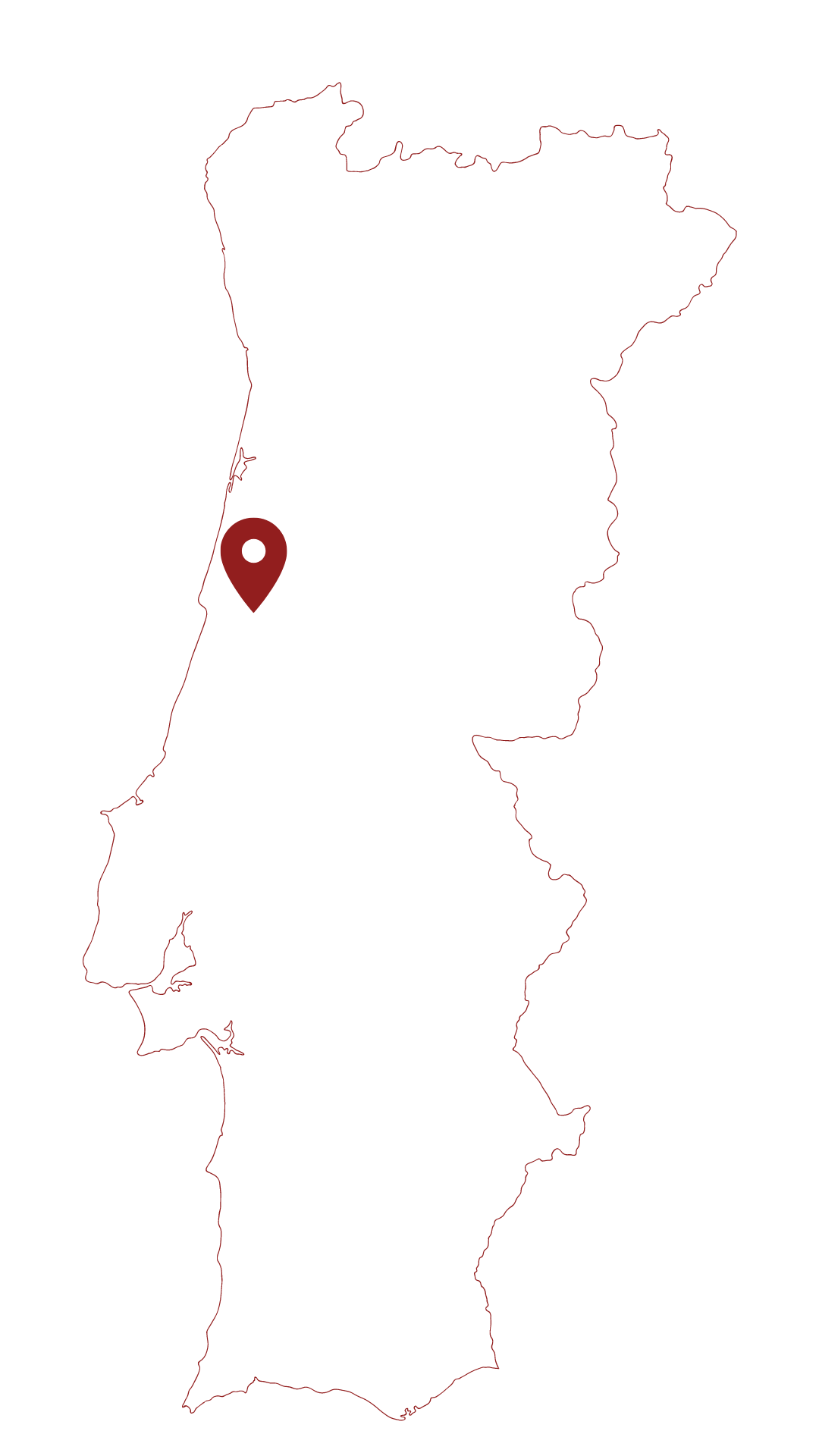Bairrada Wines and Coimbra