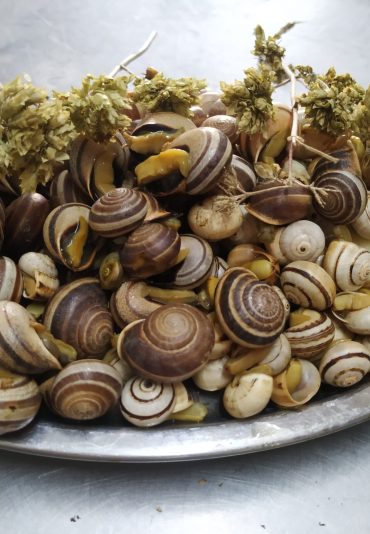 Snail Portuguese Style
