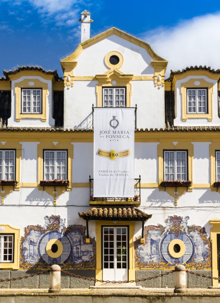 Wines in Arrábida Mountain