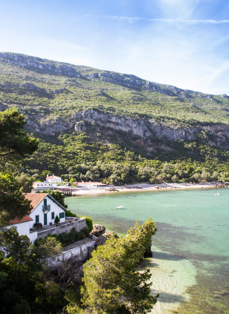 Wines in Arrábida Natural Park