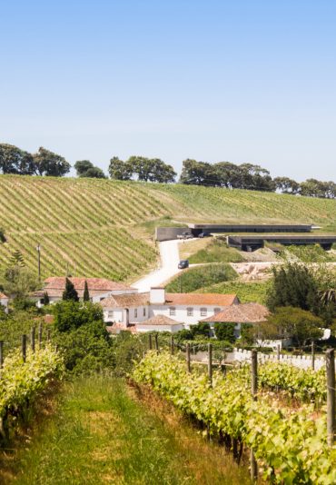 Quinta de Chocapalha