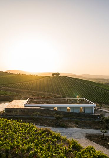 Wine estate in Alentejo