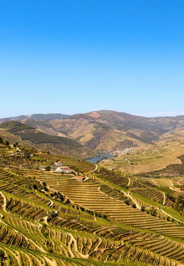 Douro Valley socalcos