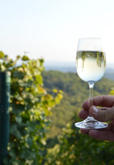 tour in vinho verde region