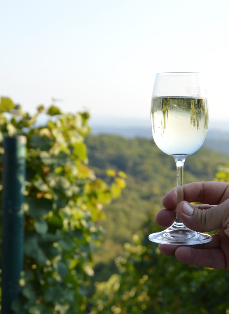 tour in vinho verde region tour in vinho verde region