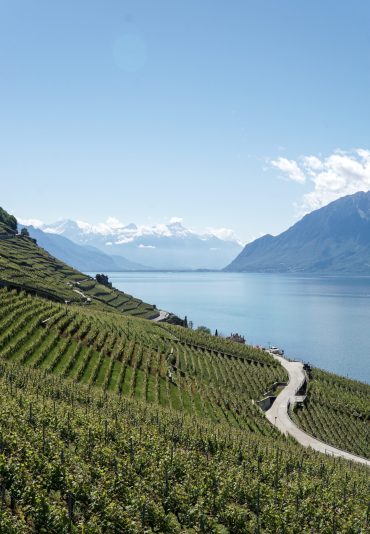 Douro Valley and river
