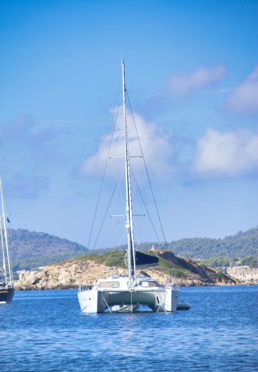 Dolphin watching in Sado