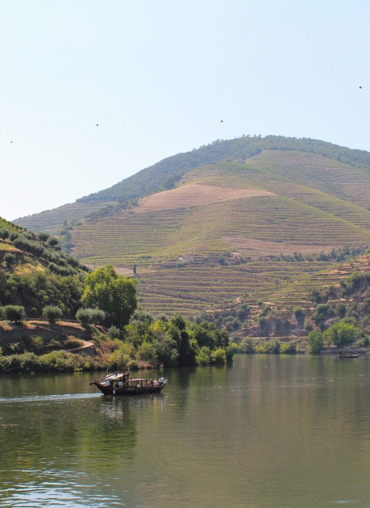traditional wineries in Douro