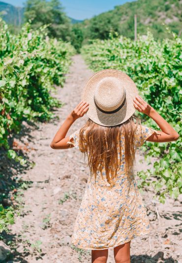 Girl with a hat and yellow dress walking in summer day in vineyard